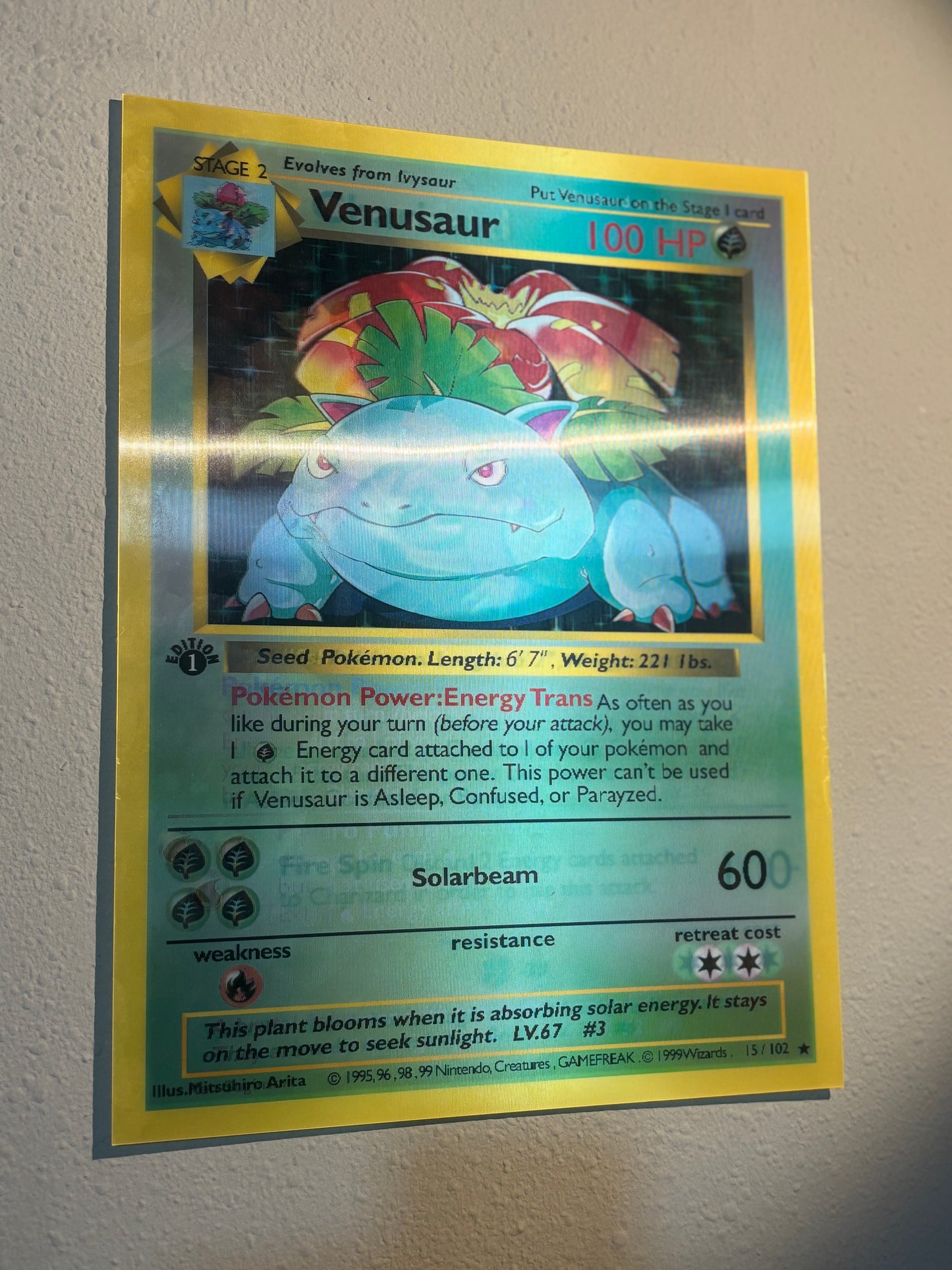 Cuadro Lenticular 3D